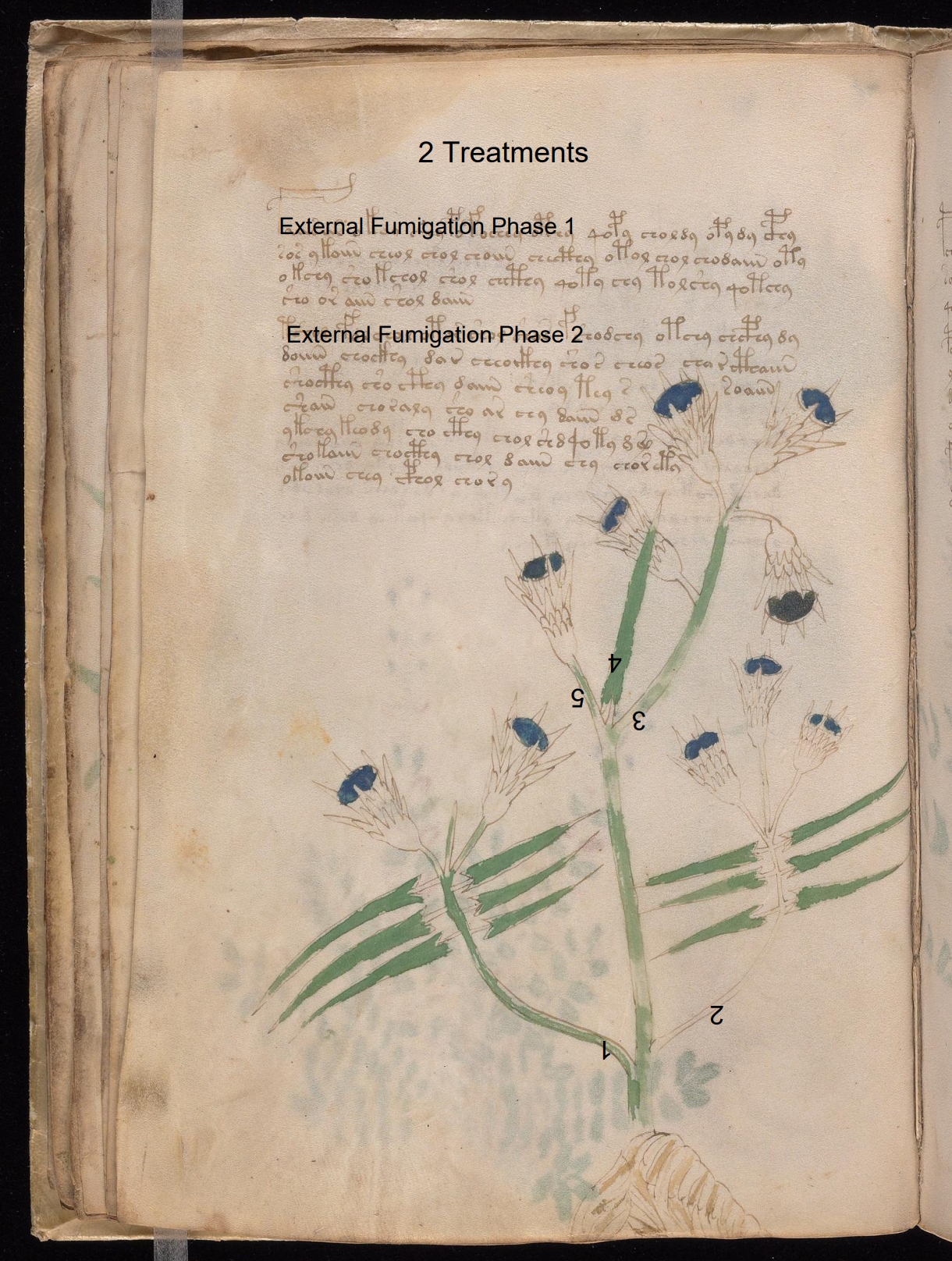 Secondary labelled diagram of Folio 20v
